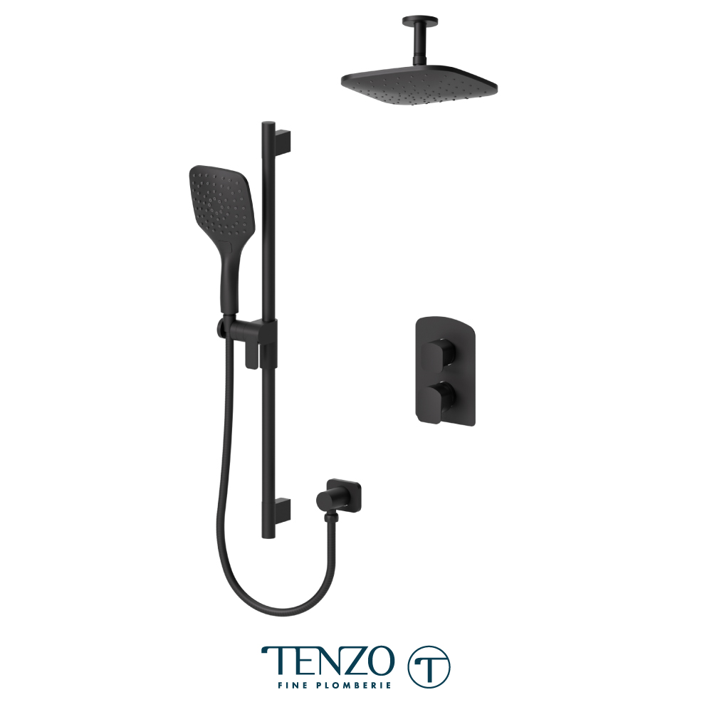 Ensemble de douche T-Box, 2 fonctions, Delano
