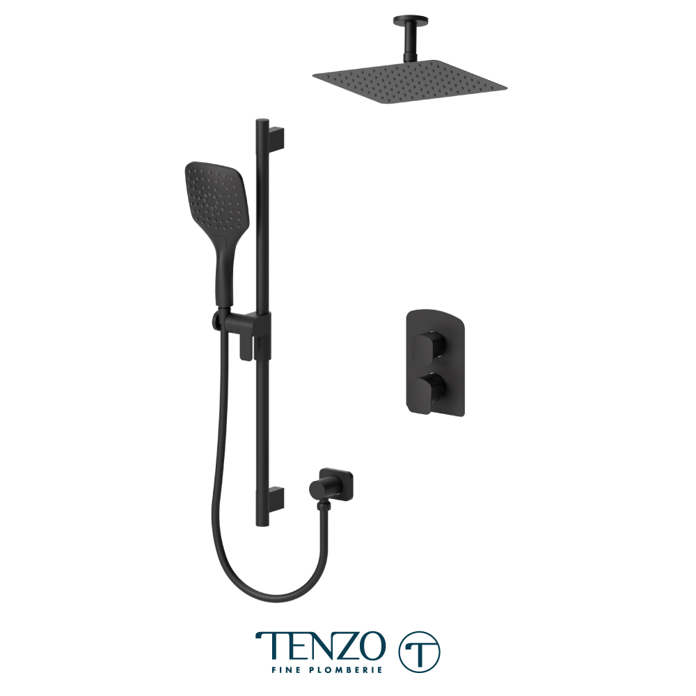 Ensemble de douche T-Box, 2 fonctions, Delano