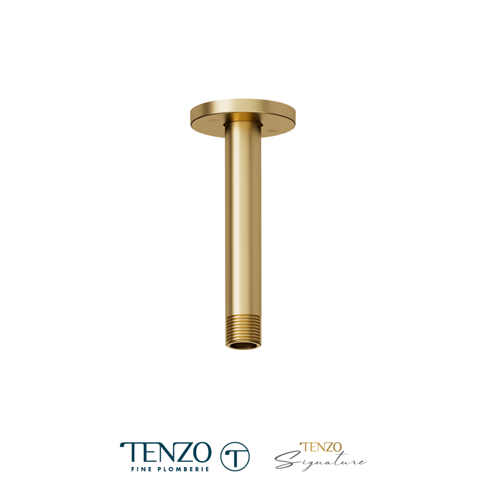 Bras de douche plafond