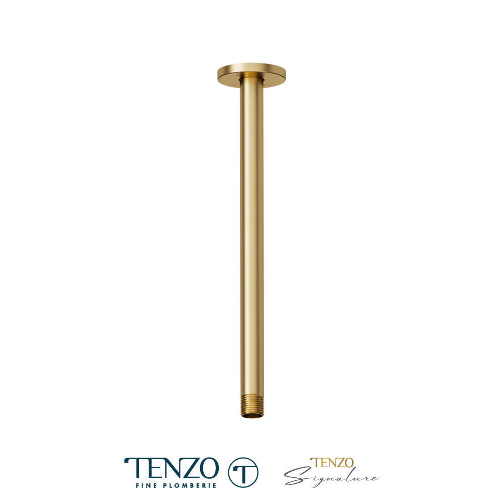 Bras de douche plafond