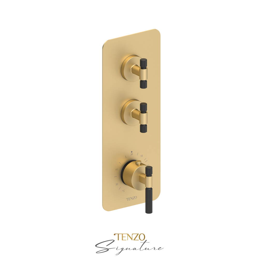 Valve EXTENZA Thermostatique 2 fonctions