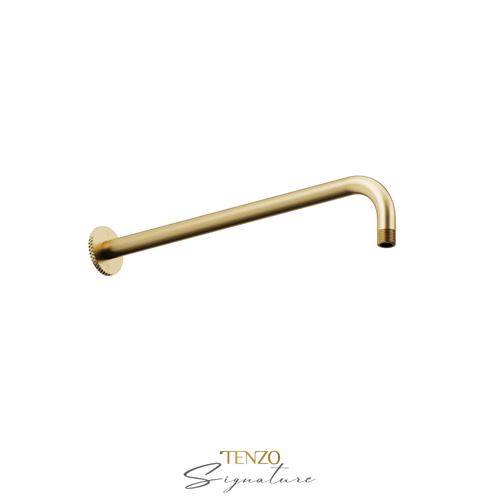 Bras de douche mural