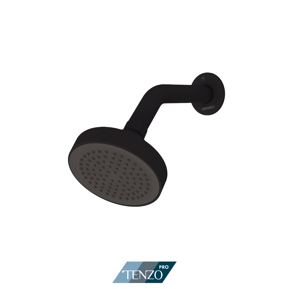 Shower head with arm