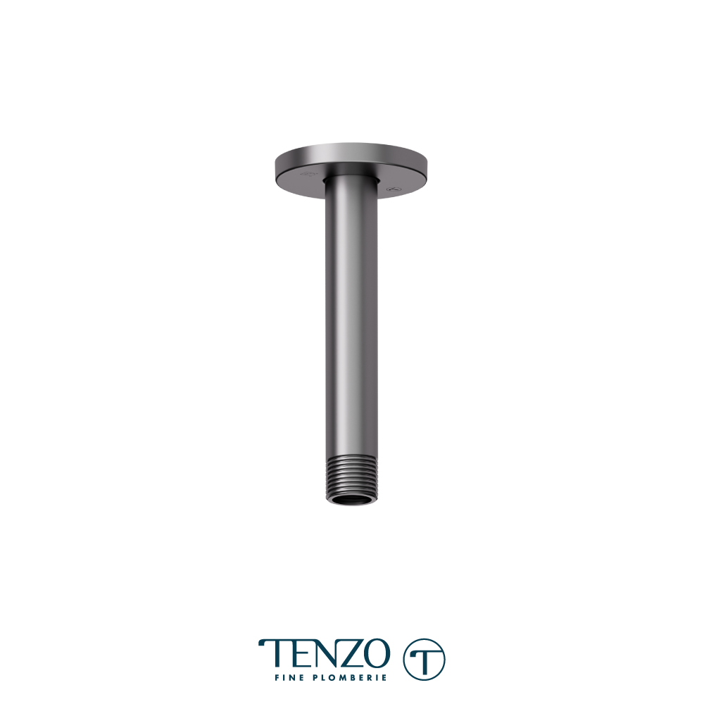 Ceiling shower arm 