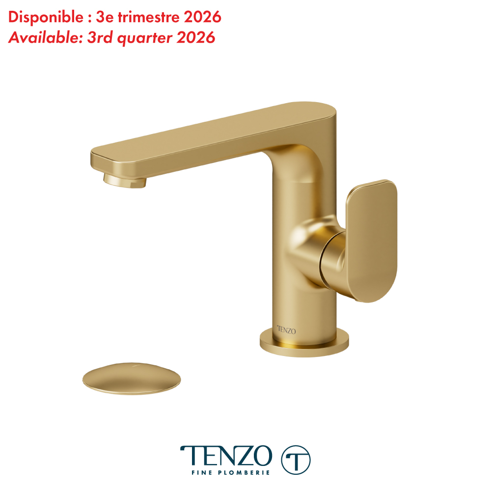 Robinet de lavabo monotrou avec drain