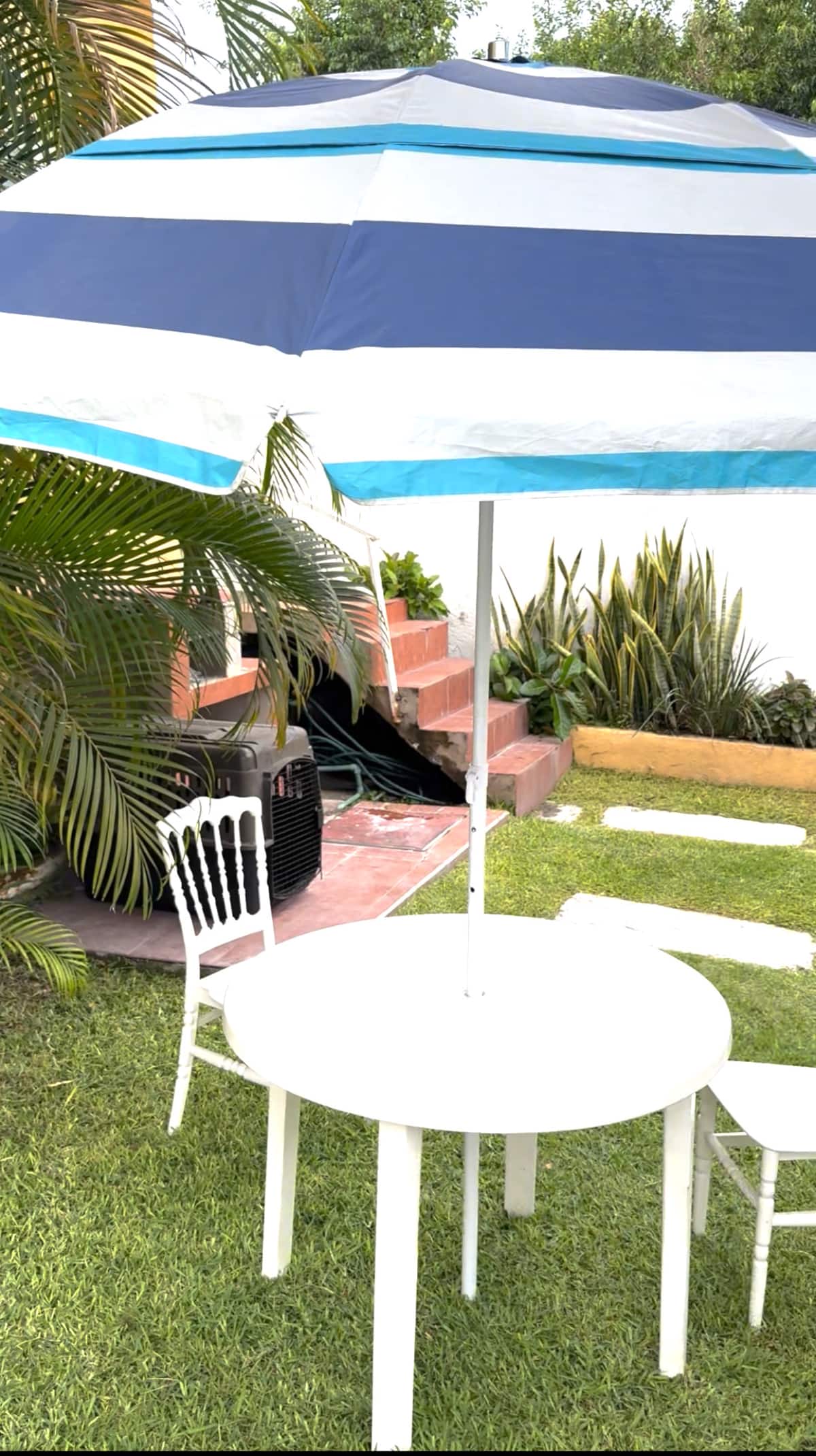Casa Las Palmas Fiestas Reuniones Tu Mejor Opci&oacute;n