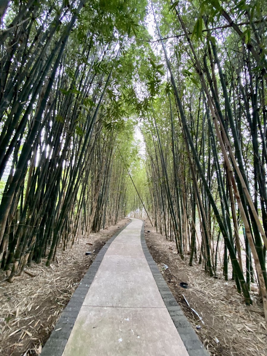 Foto: Arantza (Google)