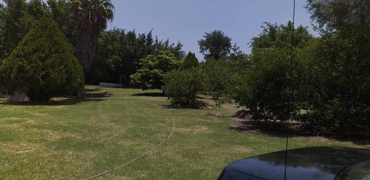 Foto: Inmuebles Morelos (Google)