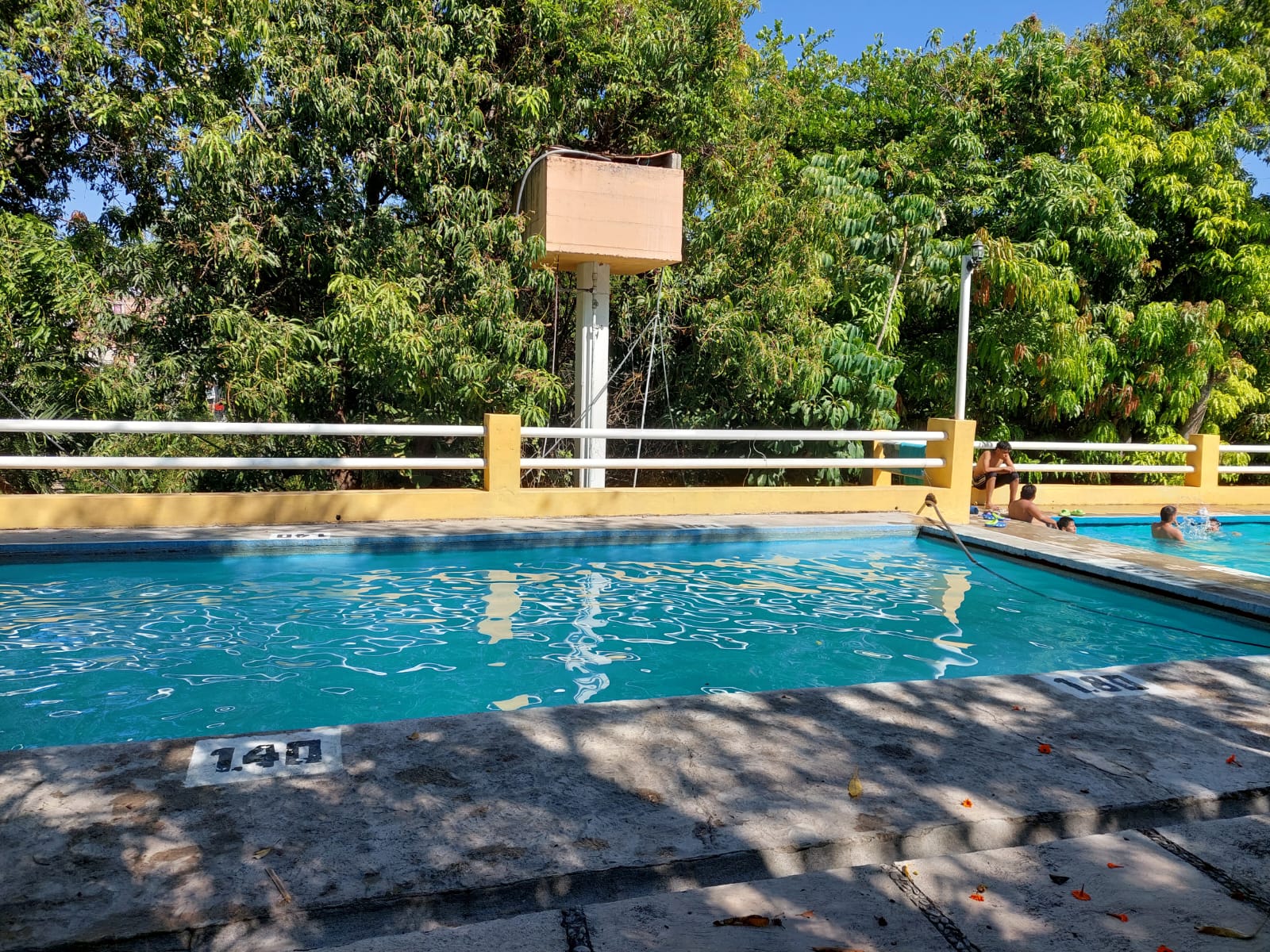 Foto: Selva Alexia (Google)