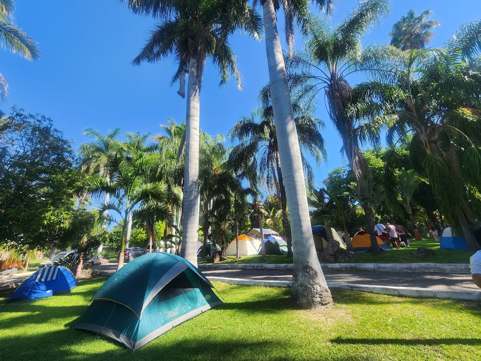 Foto: Alan Luis (Google)