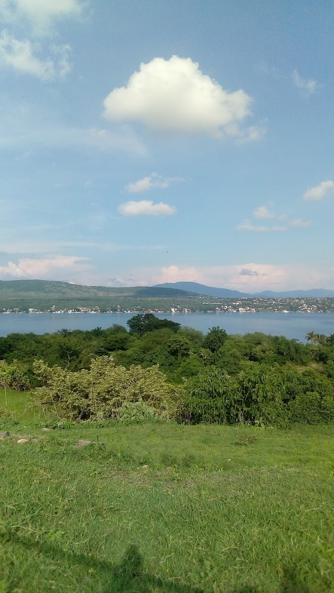 Foto: Evelia Rios (Google)