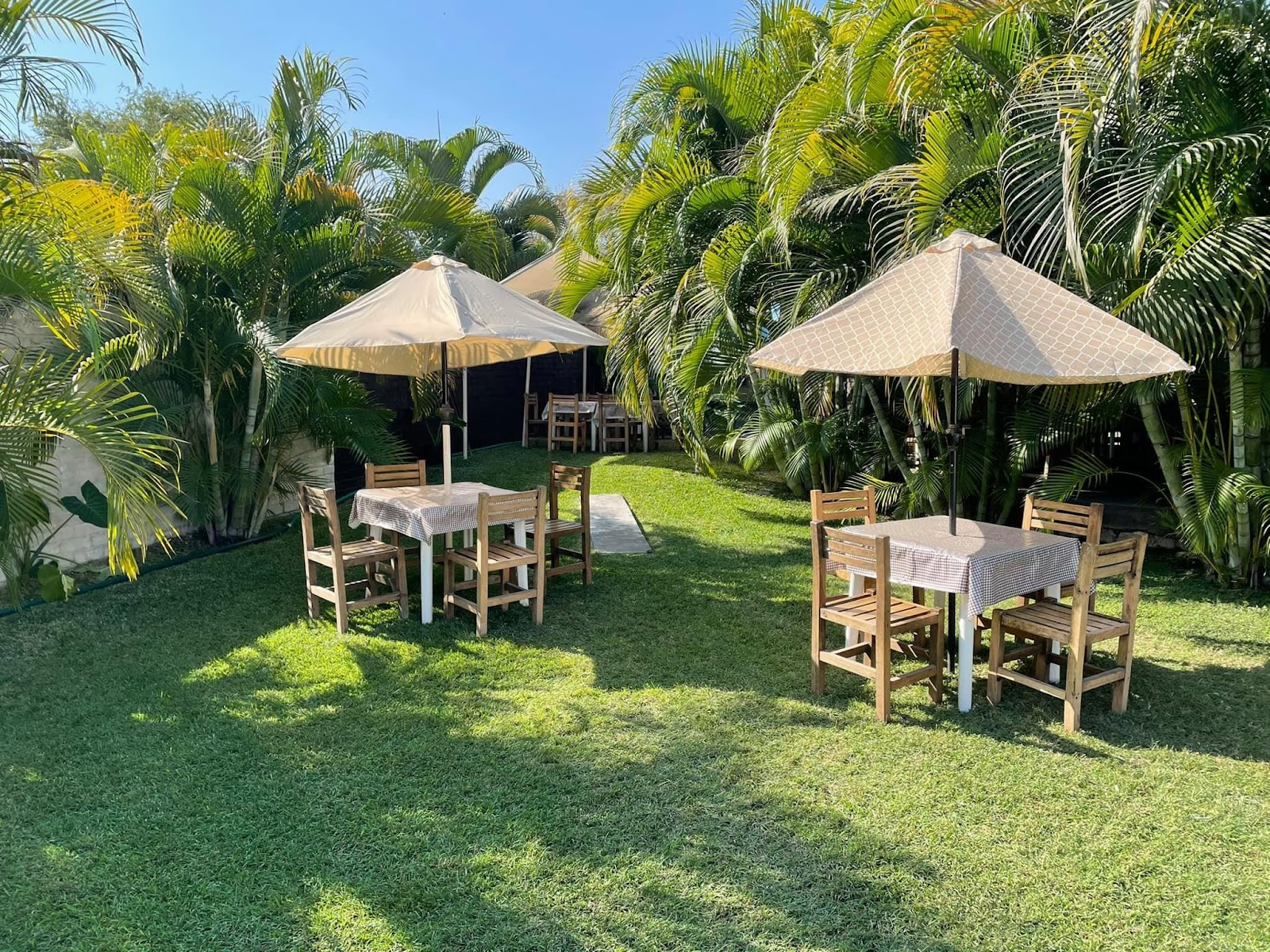 Foto: Palapa de Harry Restaurante (Google)