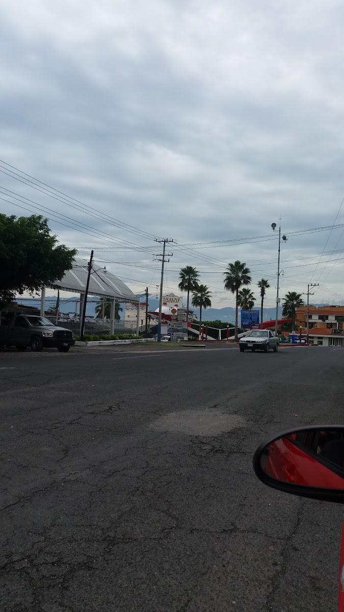 Foto: Claudia P. Enriquez (Google)