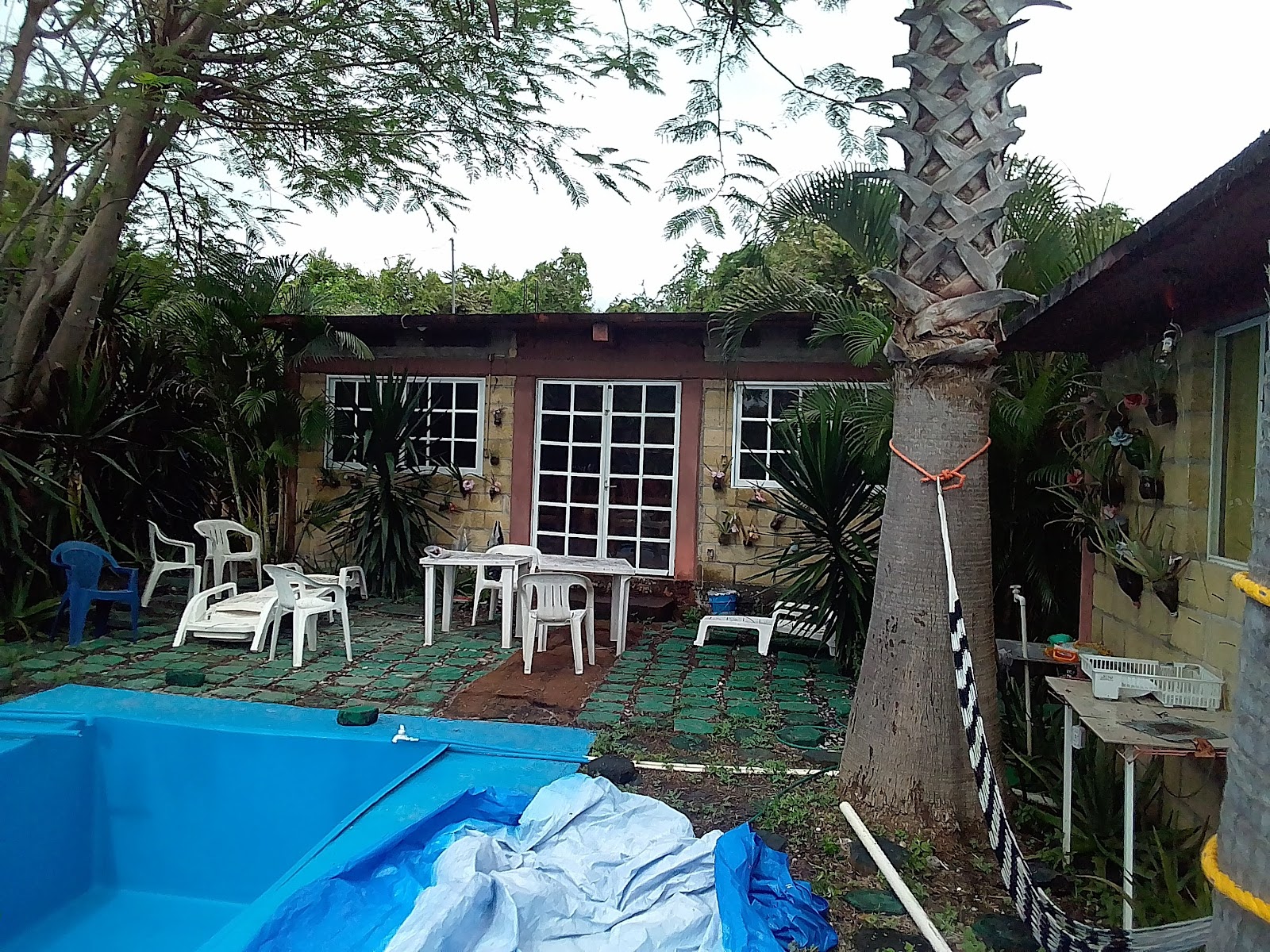 Foto: francisco valladares (Google)