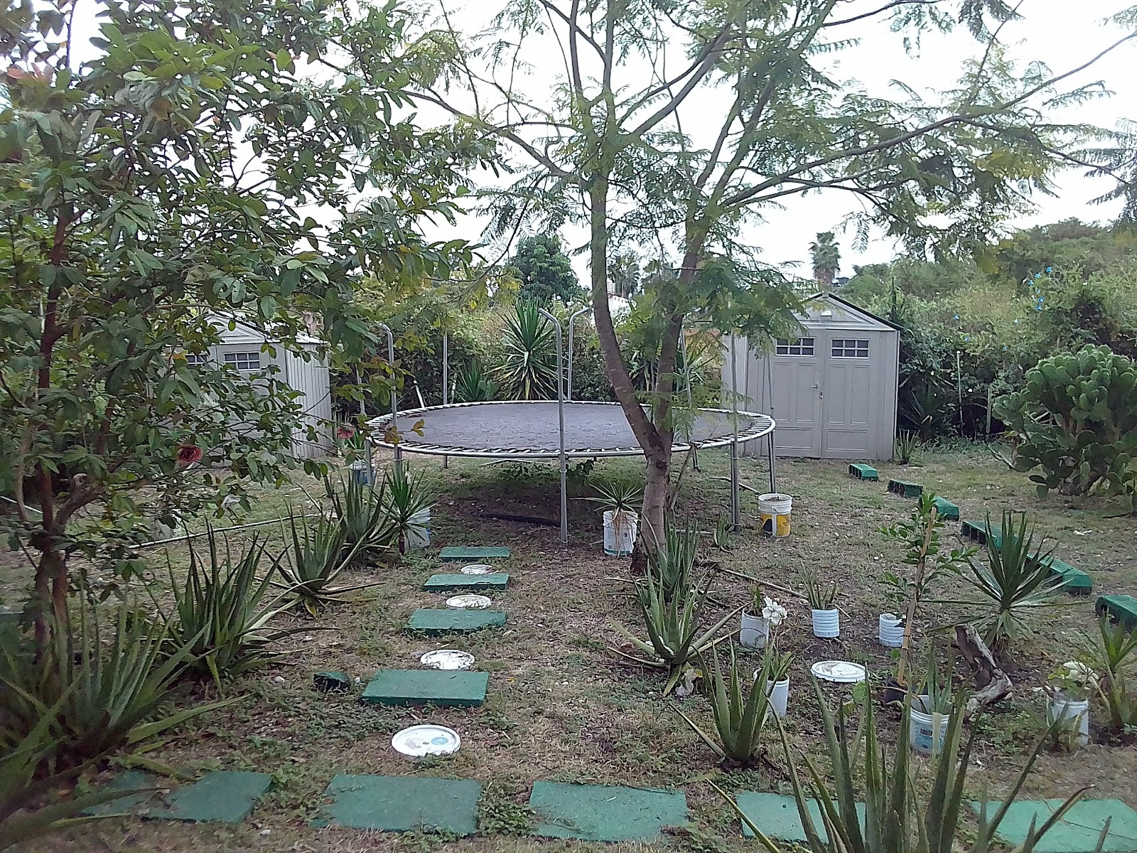 Foto: francisco valladares (Google)