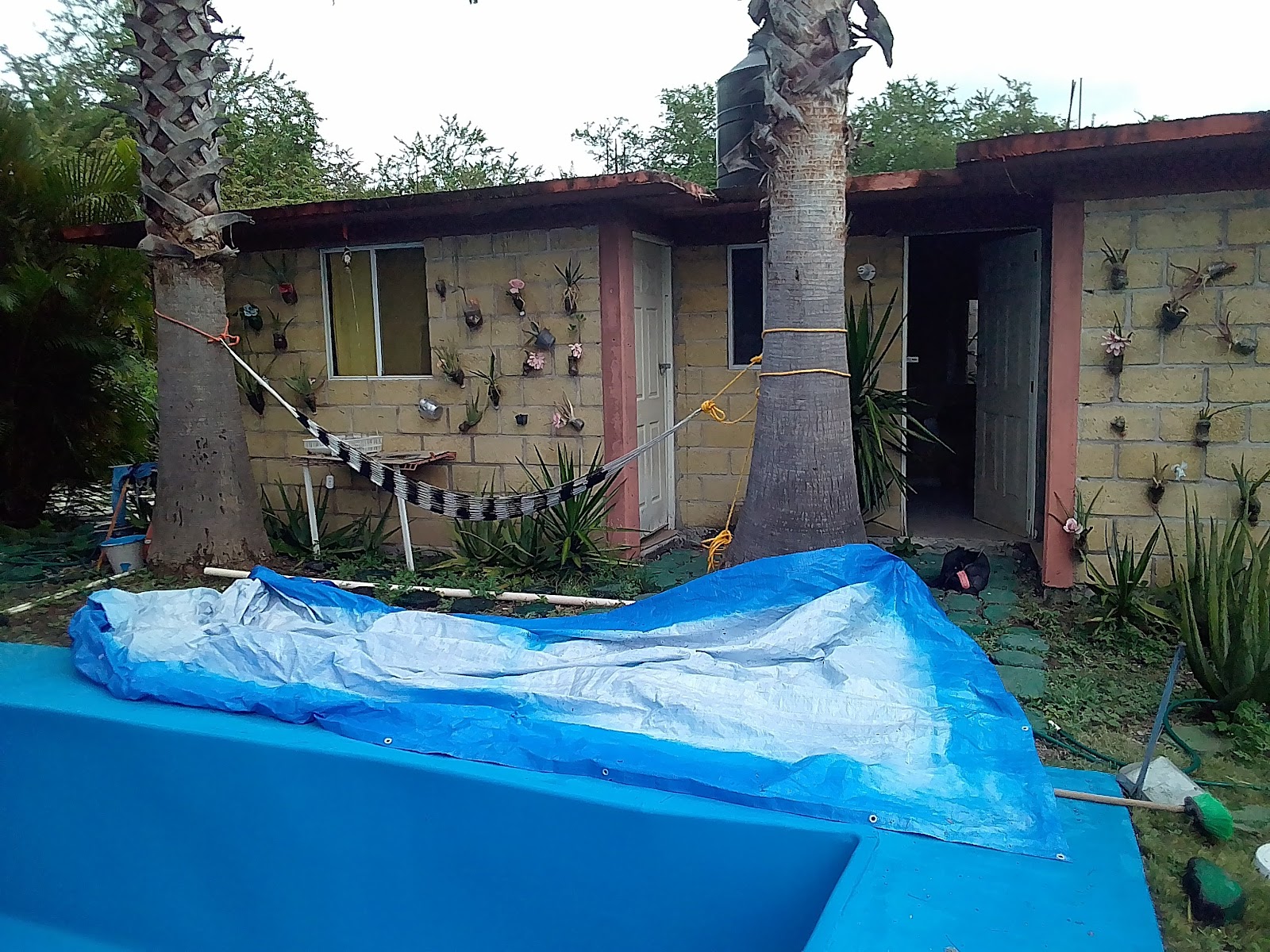 Foto: francisco valladares (Google)
