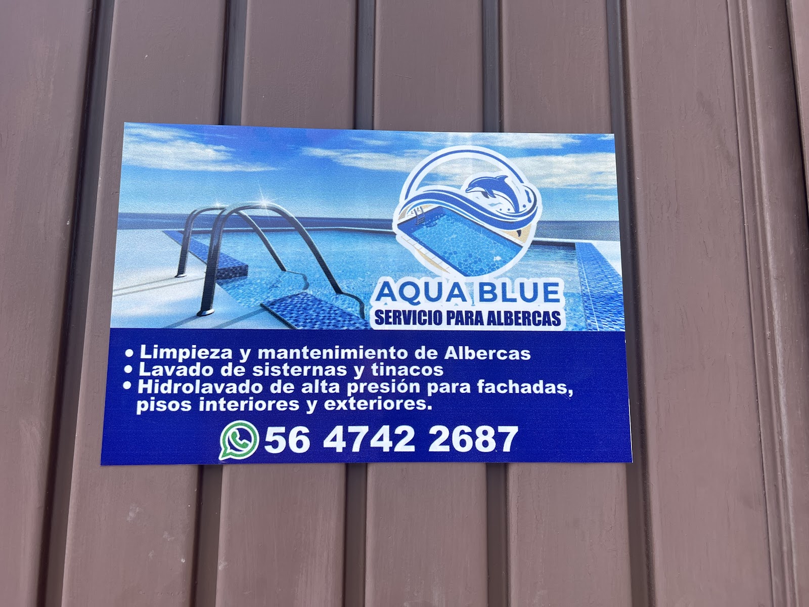 Foto: Limpieza de albercas Aqua Blue (Google)