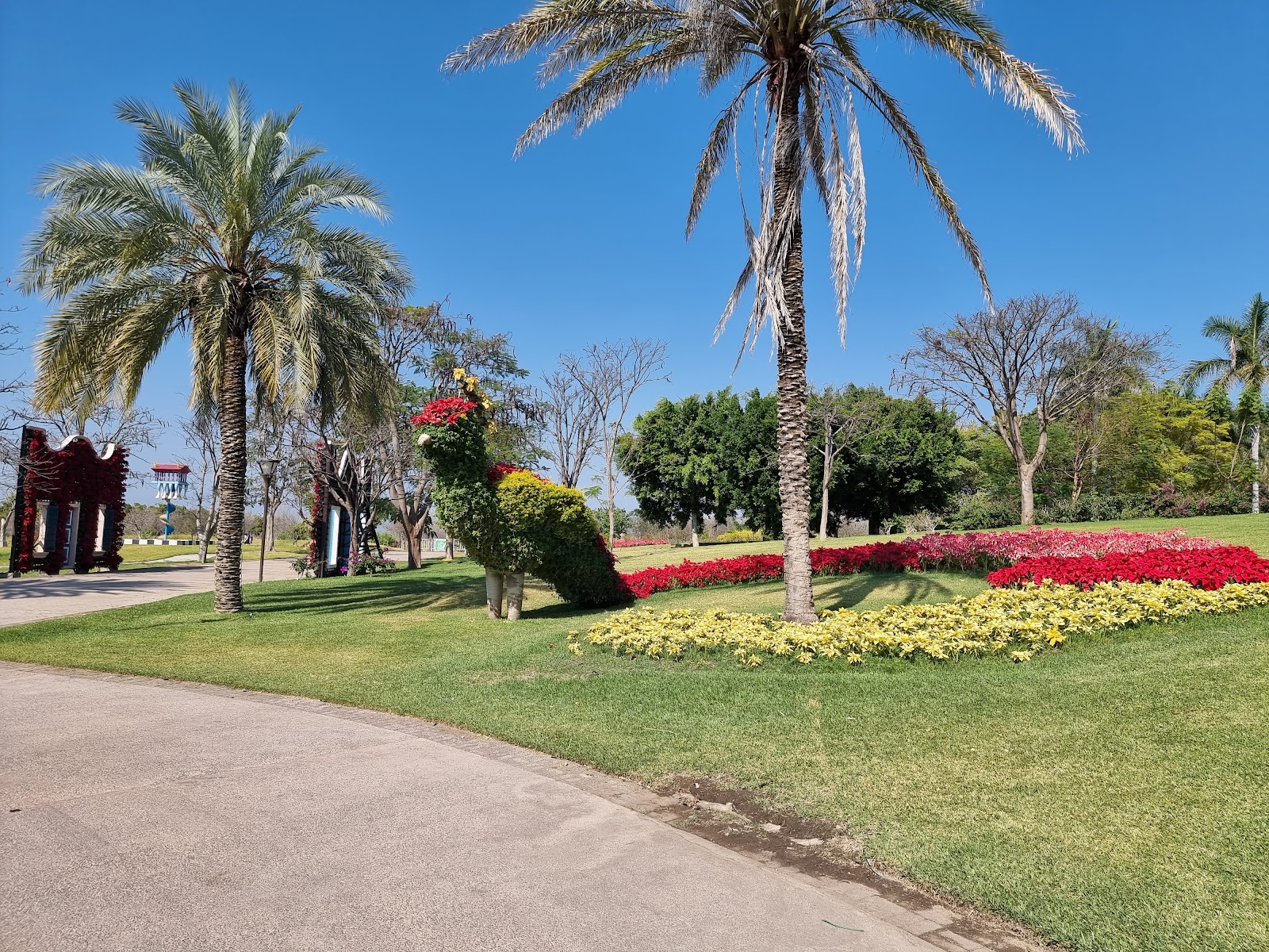 Four Jardin Primaveras