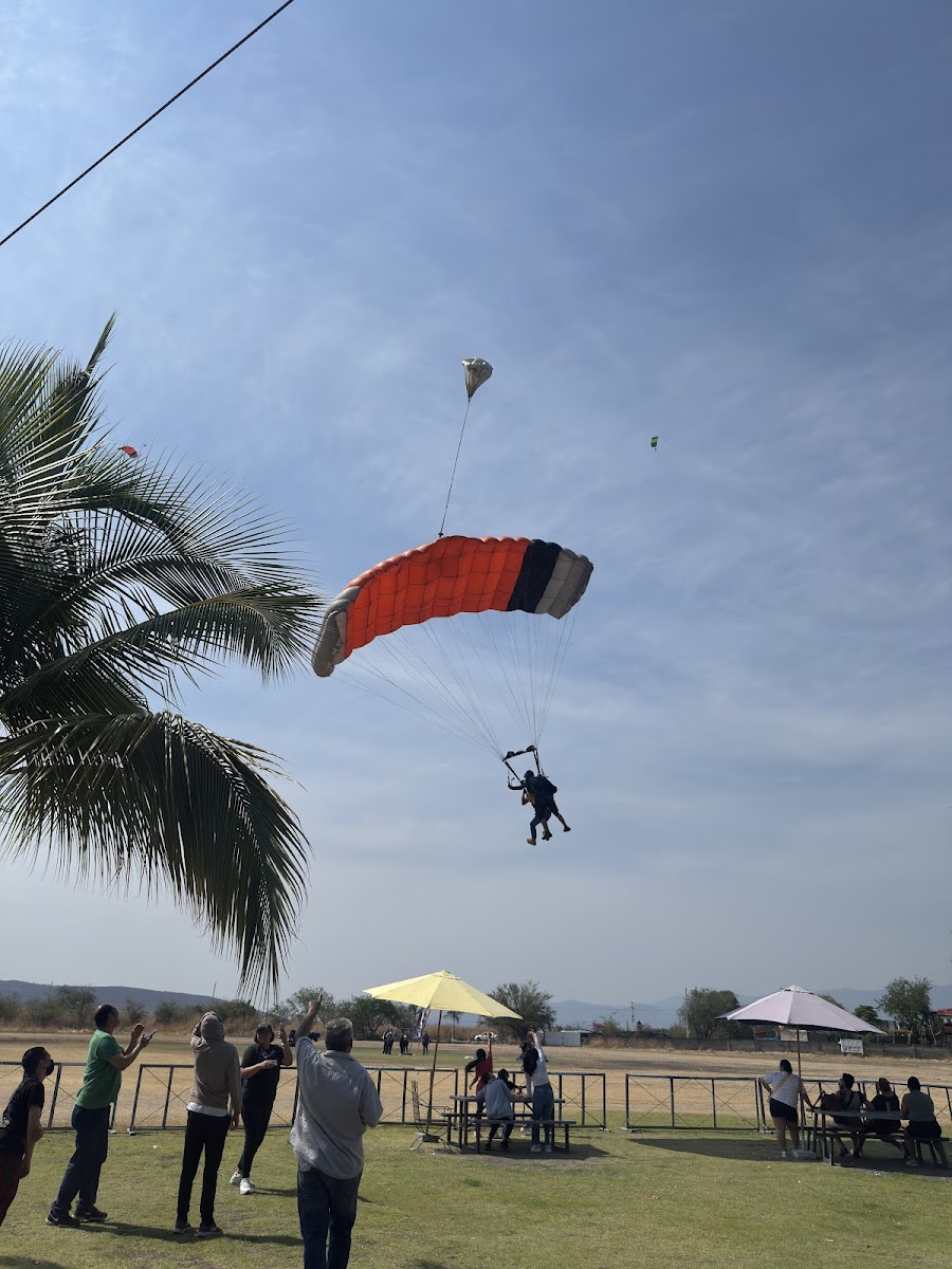 Skydive