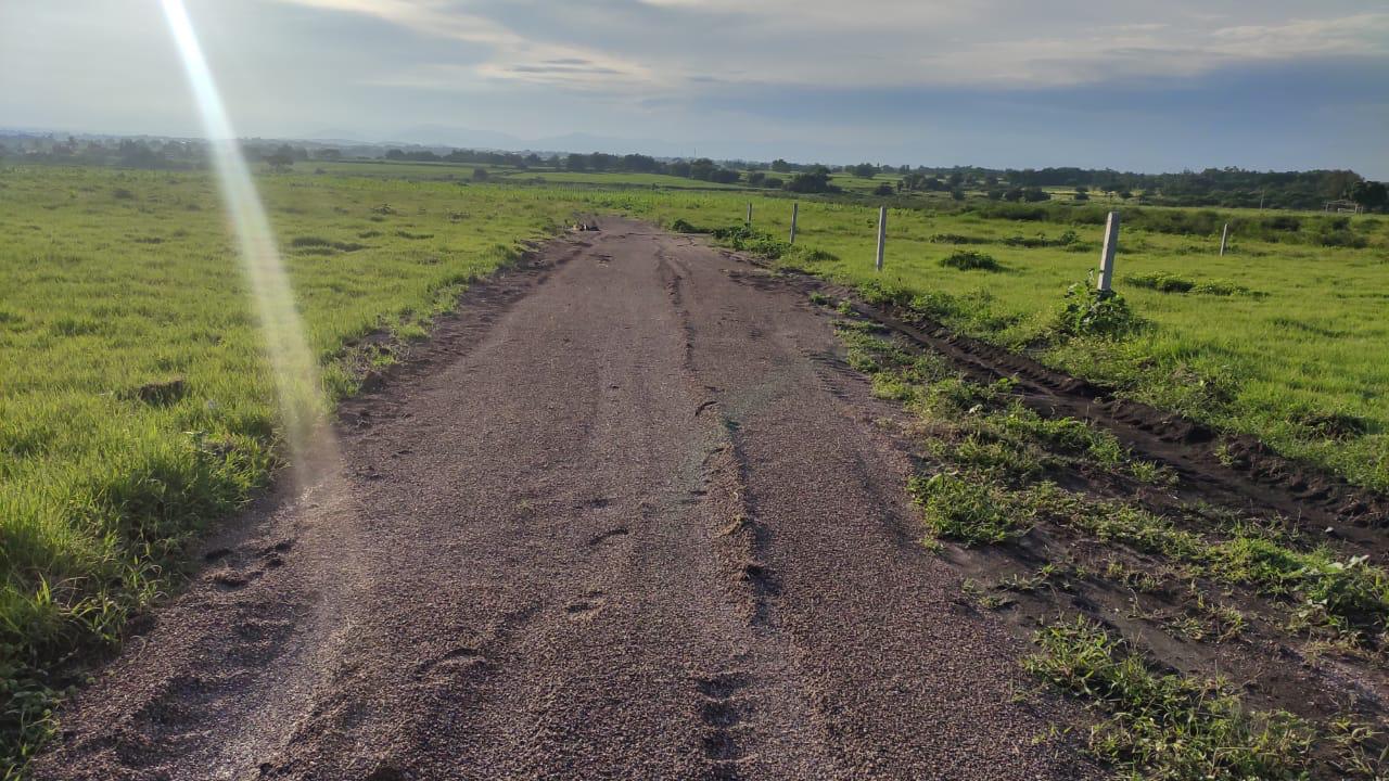 Foto: Ismael Diaz (Google)