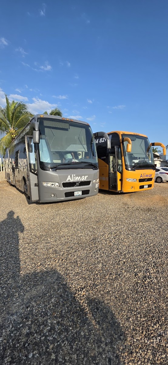 Foto: Excursiones AlimarTrip y Autobuses Alimar (Google)