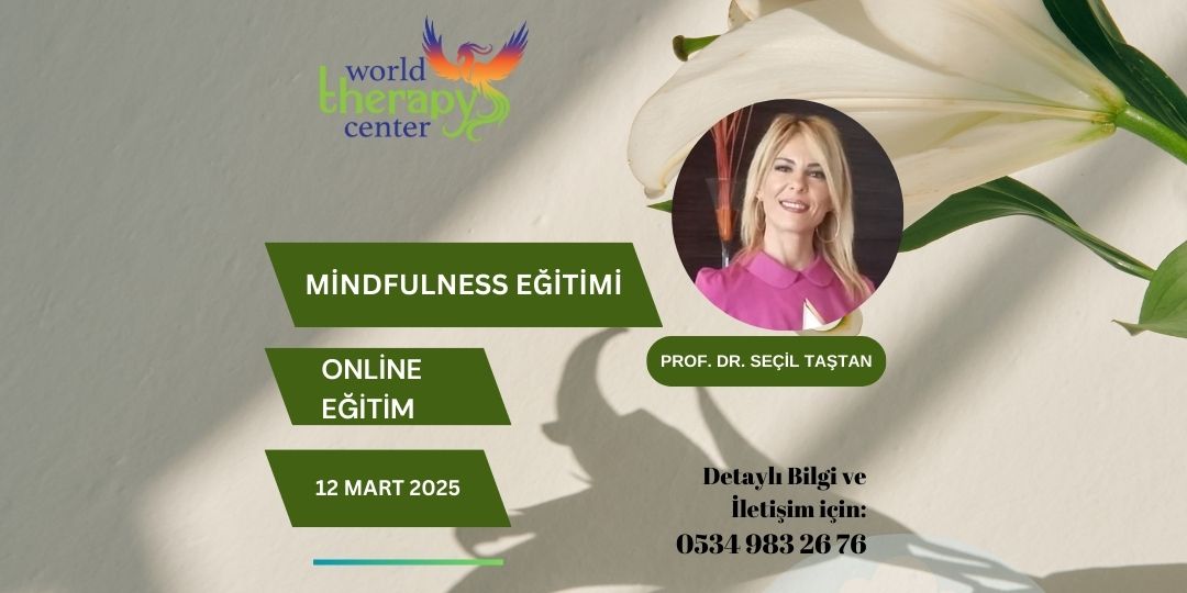 Mindfulness Eğitimi