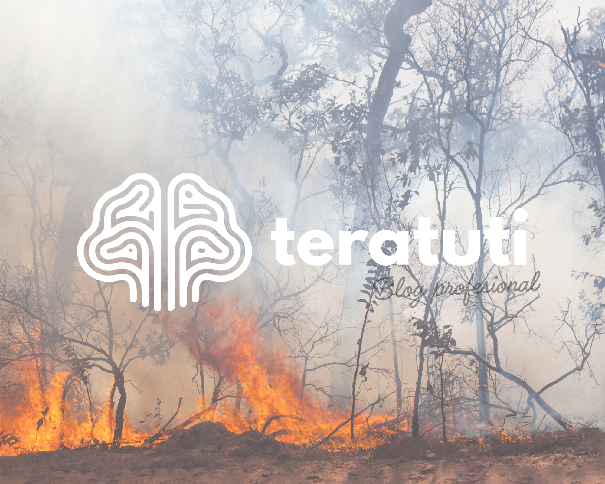 Cuando el fuego se apaga: el impacto emocional de los incendios y cómo pedir ayuda