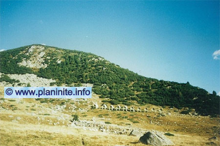 Shelter "Spano Pole" mountain hut