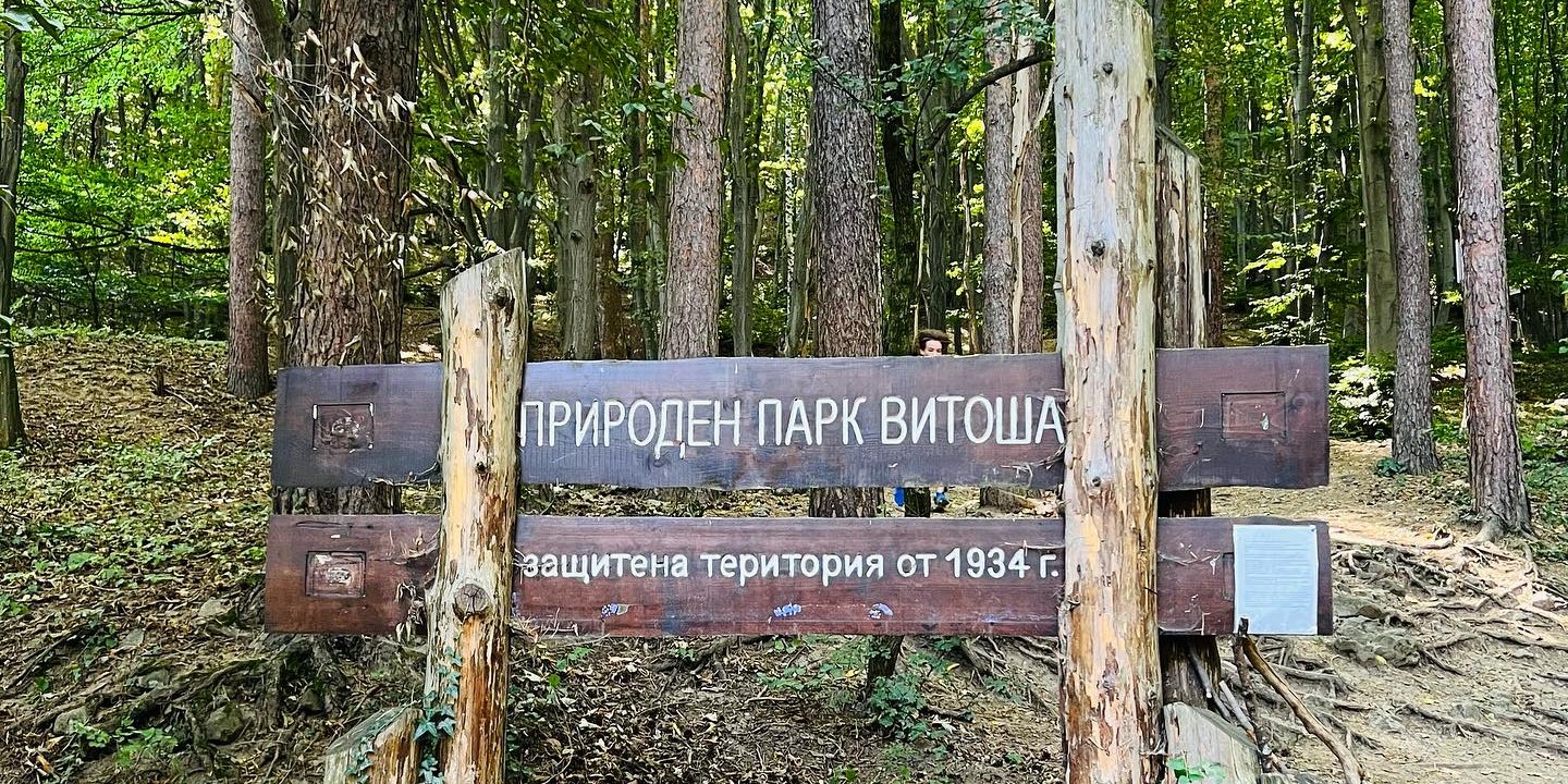 View along Boyana waterfall steep trail