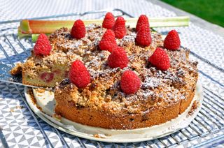 Rhubarb and Raspberry Almond Cake