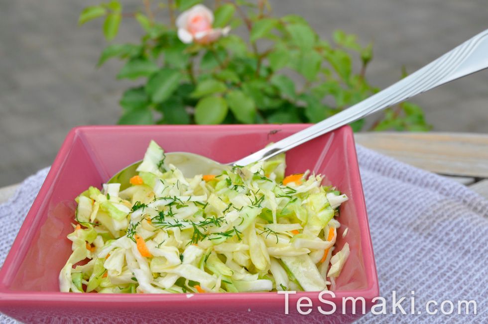 Spring Cabbage Salad 1