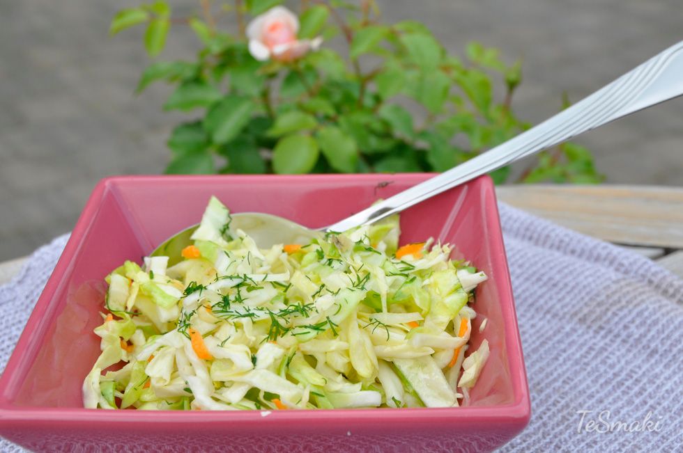 Salade de chou printanière 1