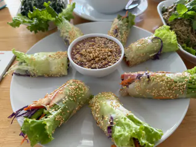 Salad Roll