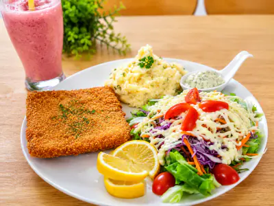 Plant-based protein schnitzel