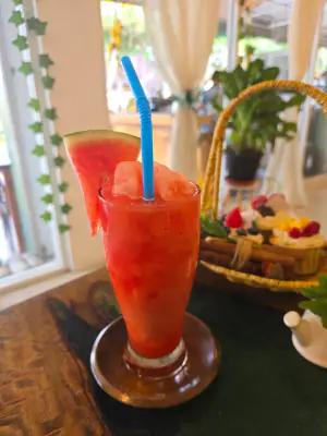 Watermelon smoothie