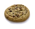Double chocolate cookie BULK