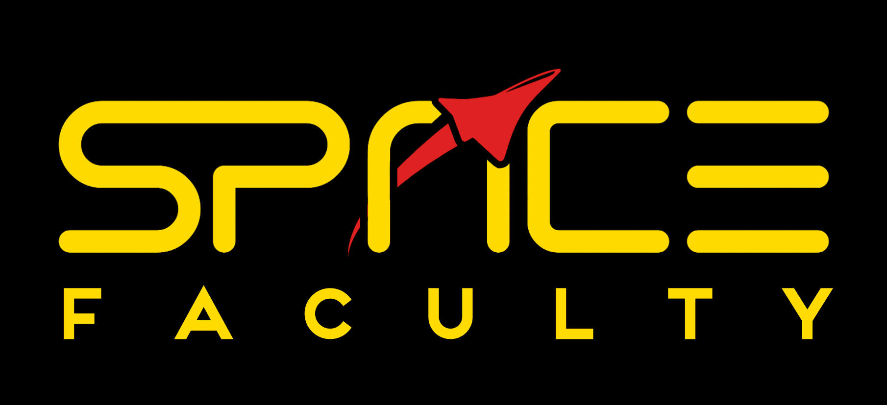 Space Faculty Partner