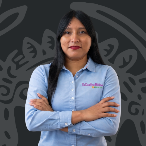 Mirsa Tec