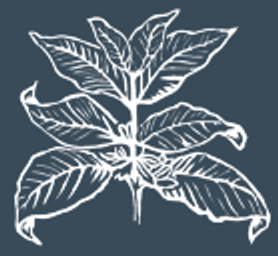 CoffeeShrub