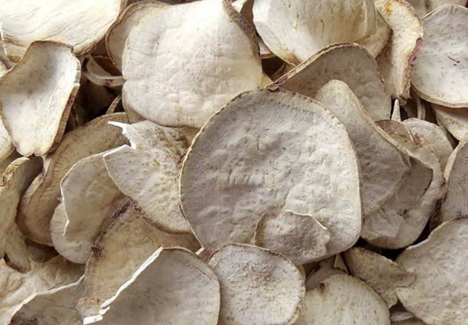 Sâm Tố Nữ