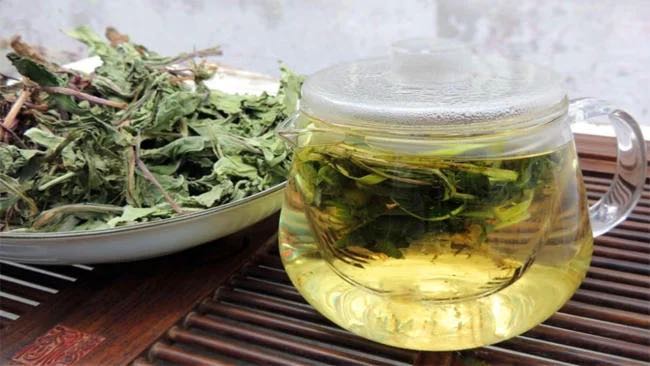 Trà Bồ Công Anh Thông Thảo