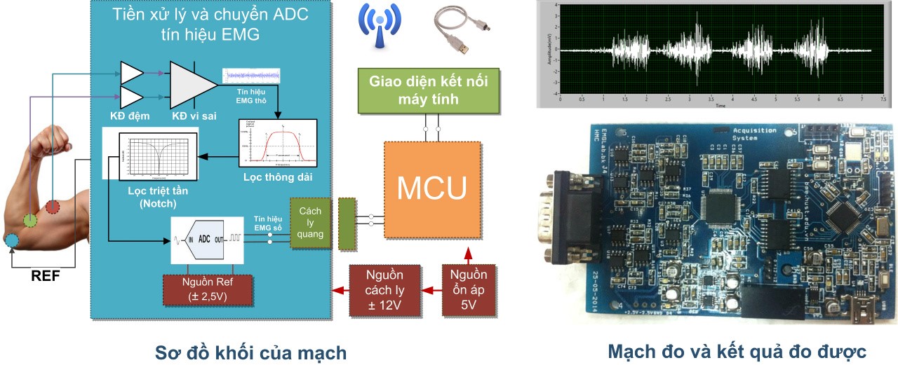 Mạch đo tín hiệu điện cơ bề mặt (sEMG)