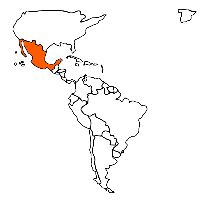 Portal de Odontologos