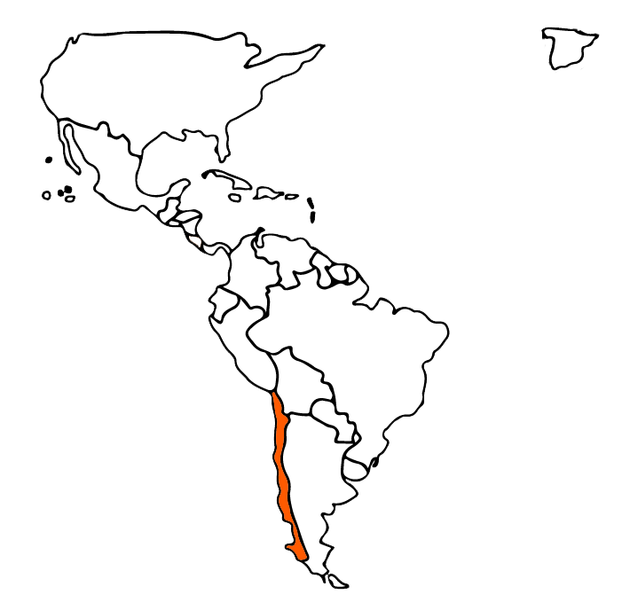 Portal de Odontologos