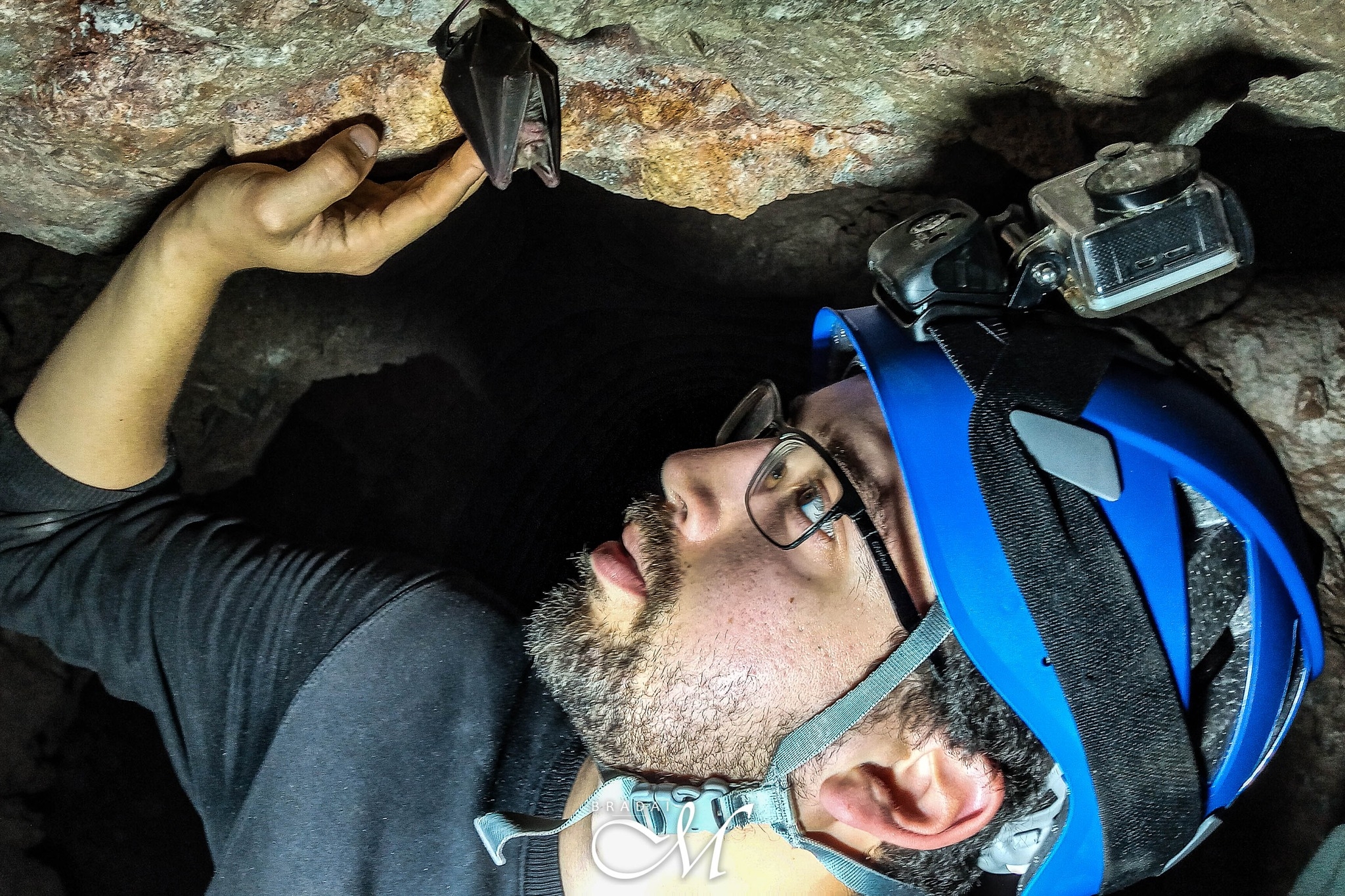 BRADAI Mohammed El Amine