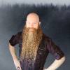Steven M Vertz