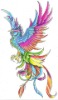 Rainbow Bird