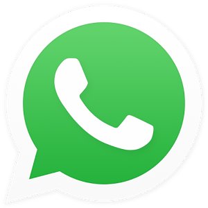 WhatsApp Messenger beta icon
