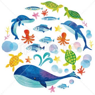 酵素と代謝から———