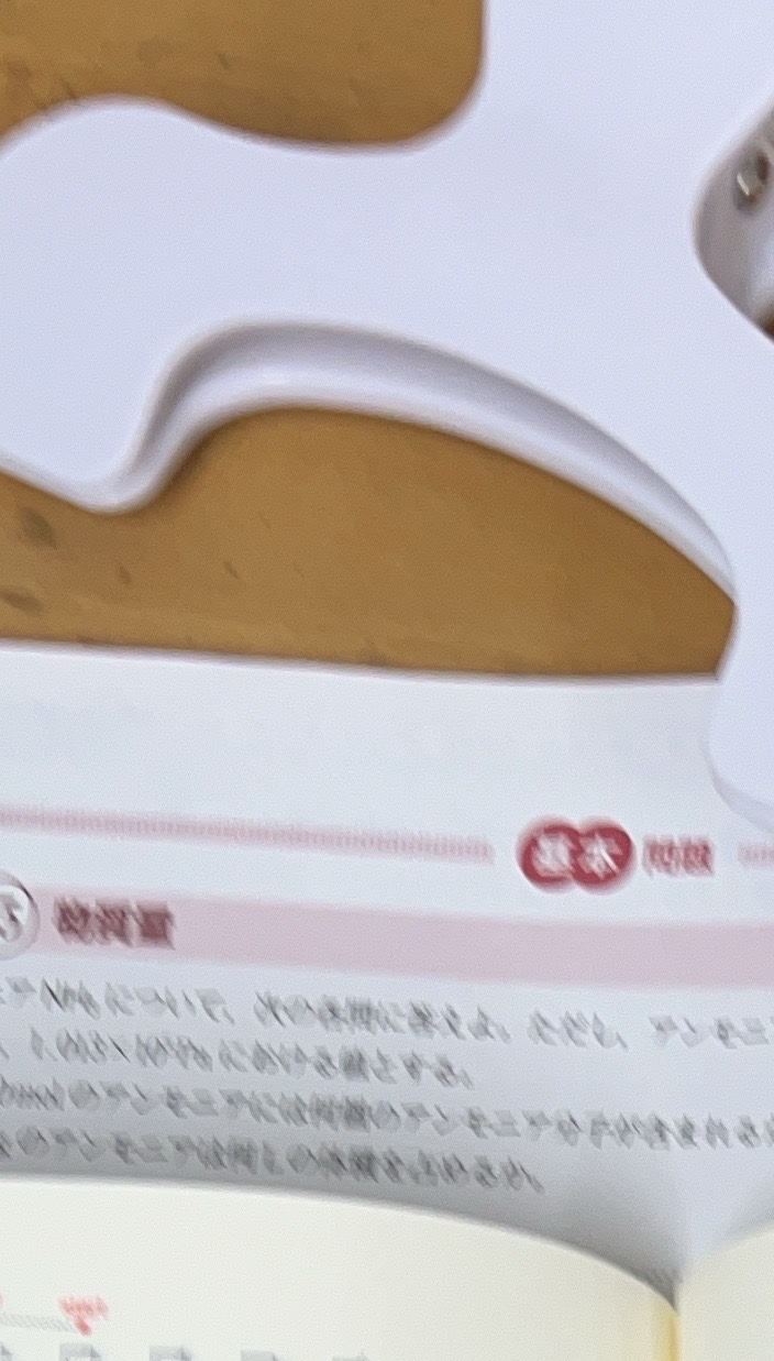 世界中がHamburger